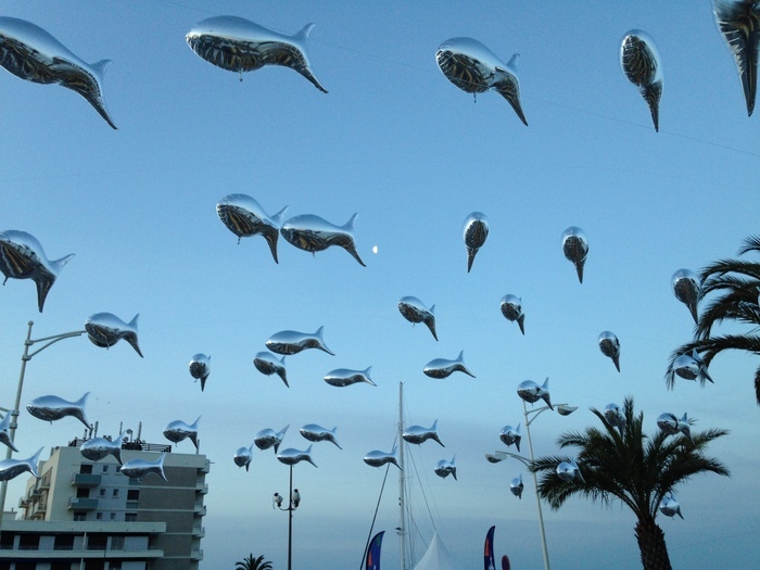 Banc de Sardines (Aérosculpture)