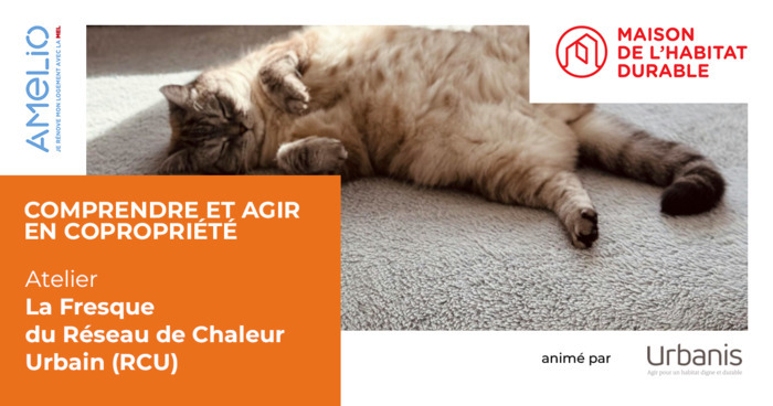 Fresque du réseau de chaleur