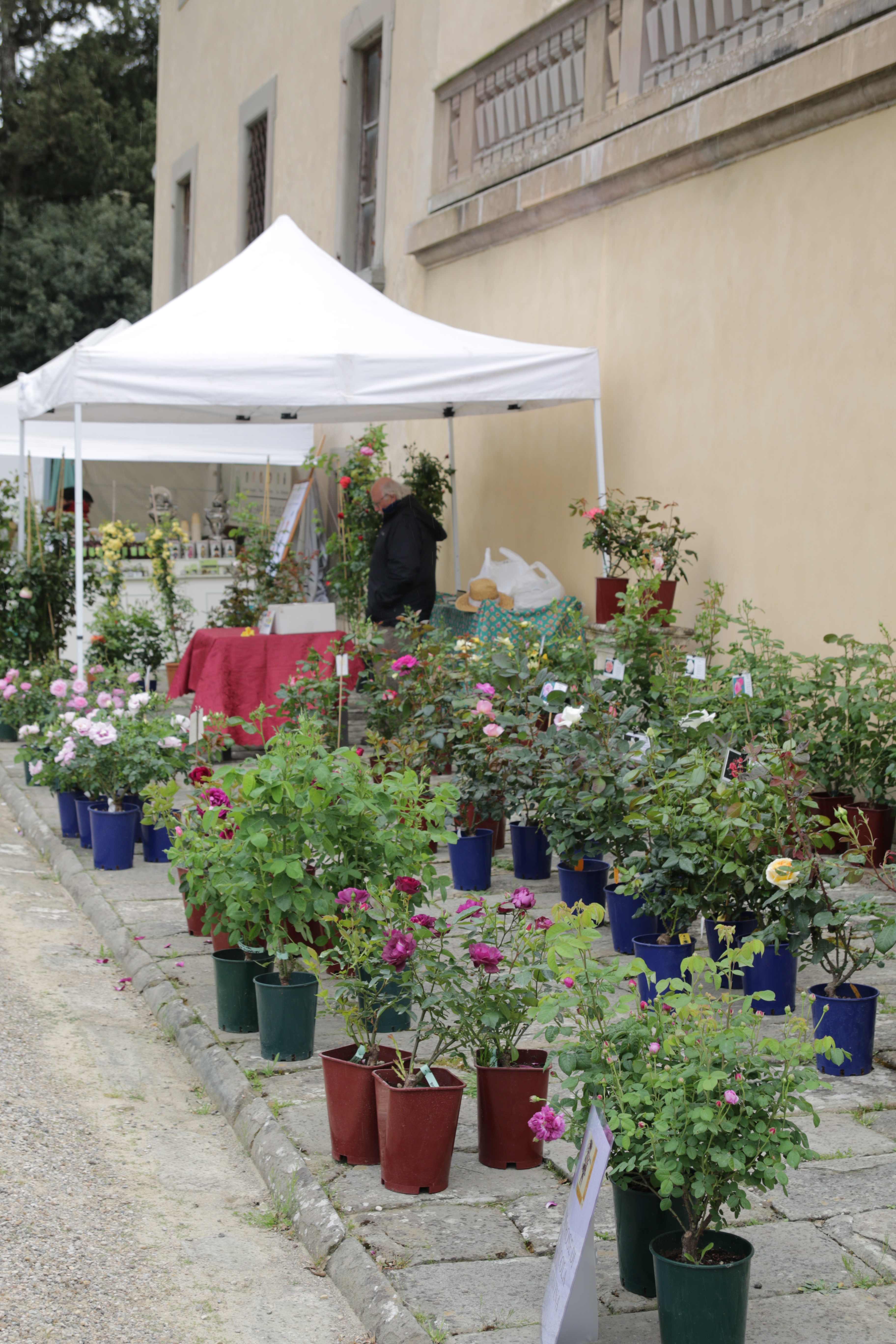 Marché vert
