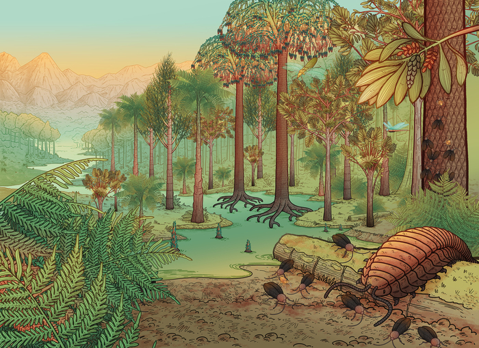 Les mondes oubliés des Hauts-de-France