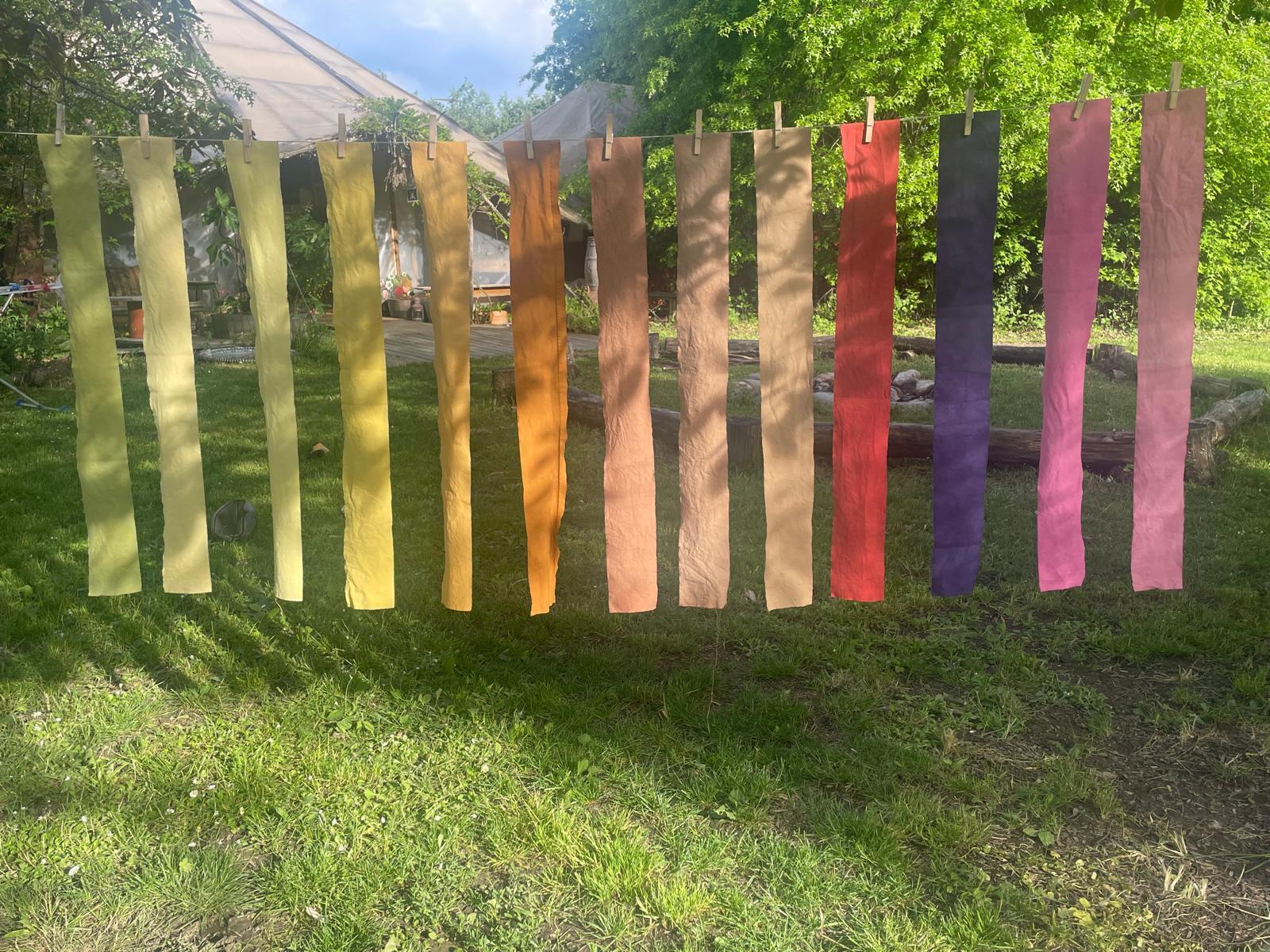 stage de teinture végétale
