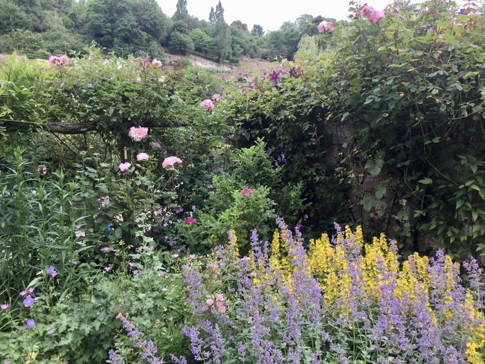Jardin des Clématites