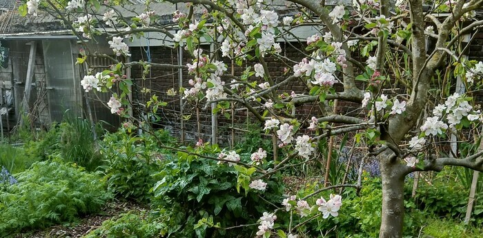 Visite du jardin du Pré Muché