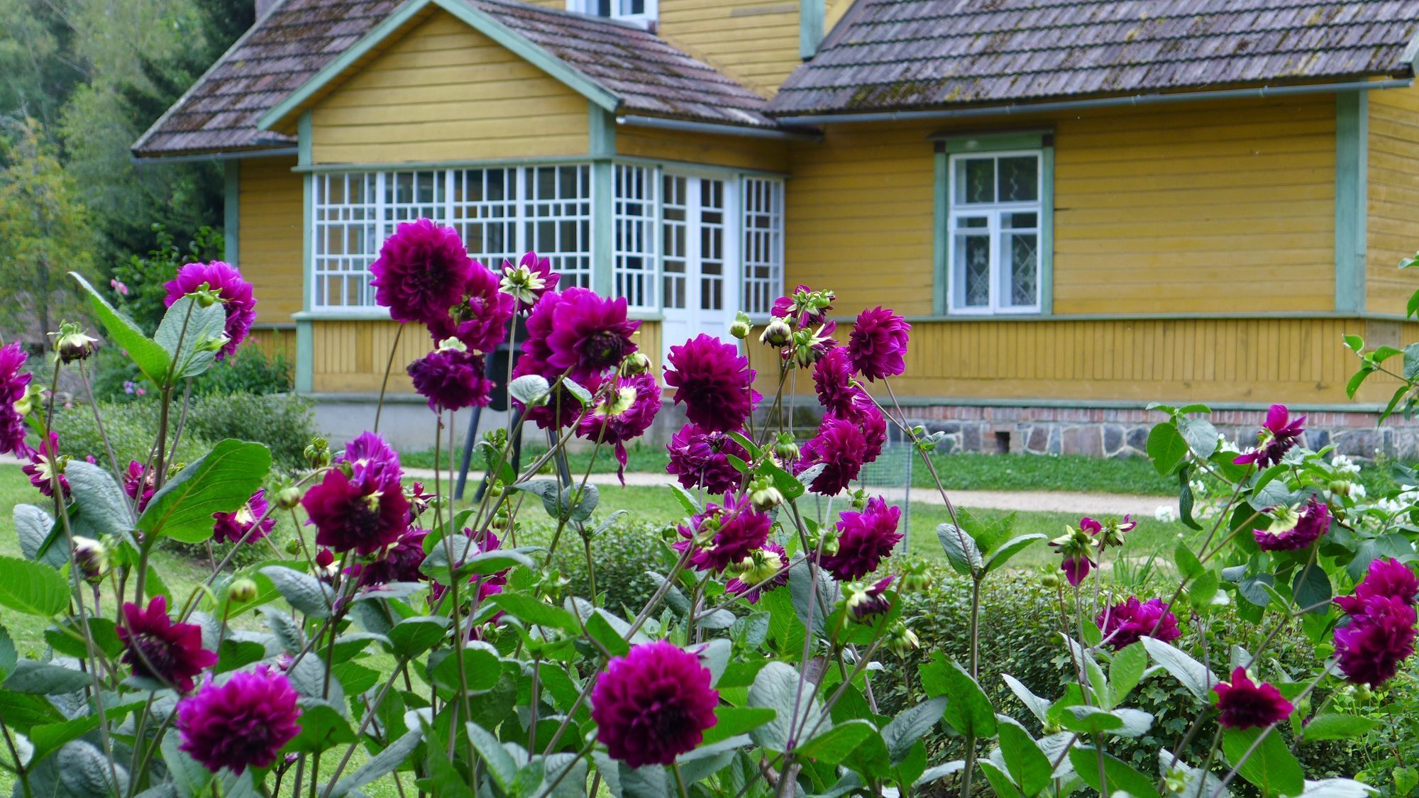 Promenade guidée dans les jardins du musée estonien en plein air
