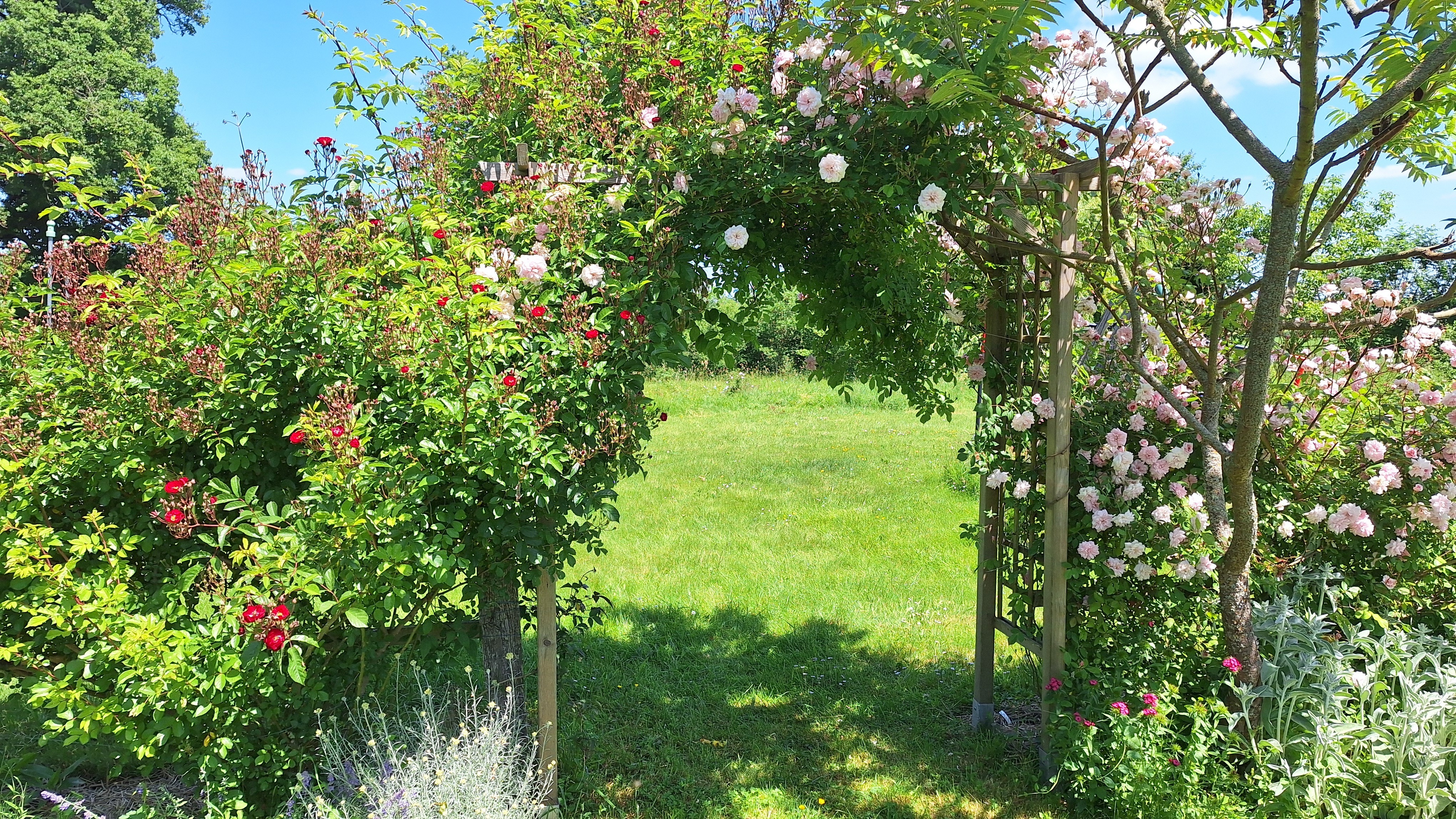 Découverte d'un jardin romantique