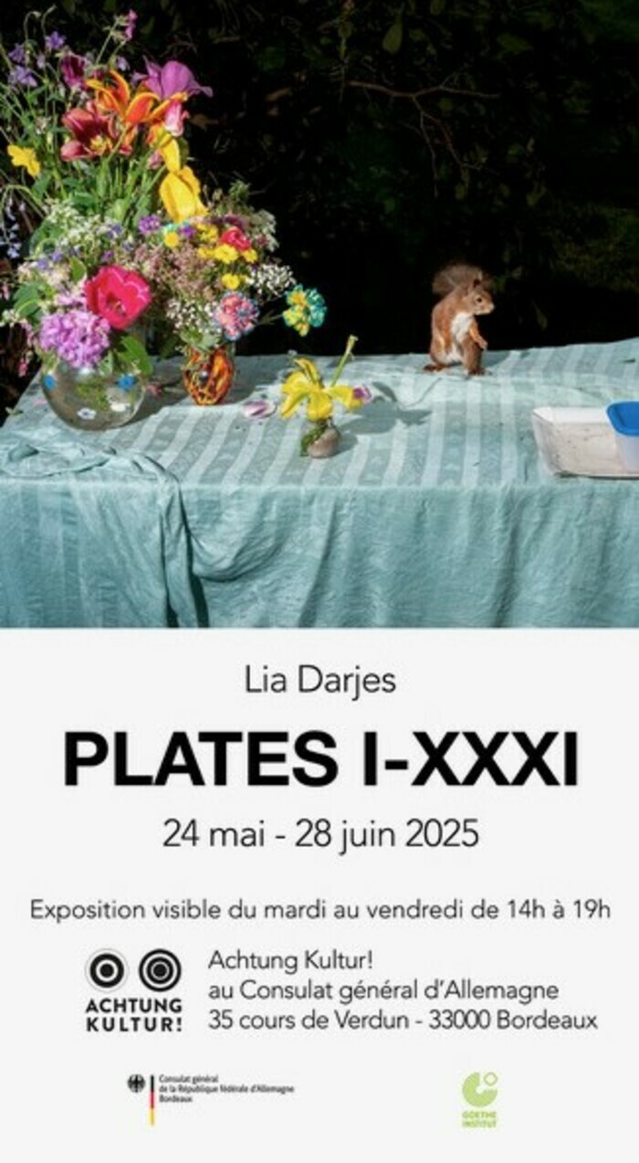 Exposition « Plates I-XXXI », Lia Darjes