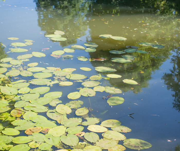 Création d’une mare