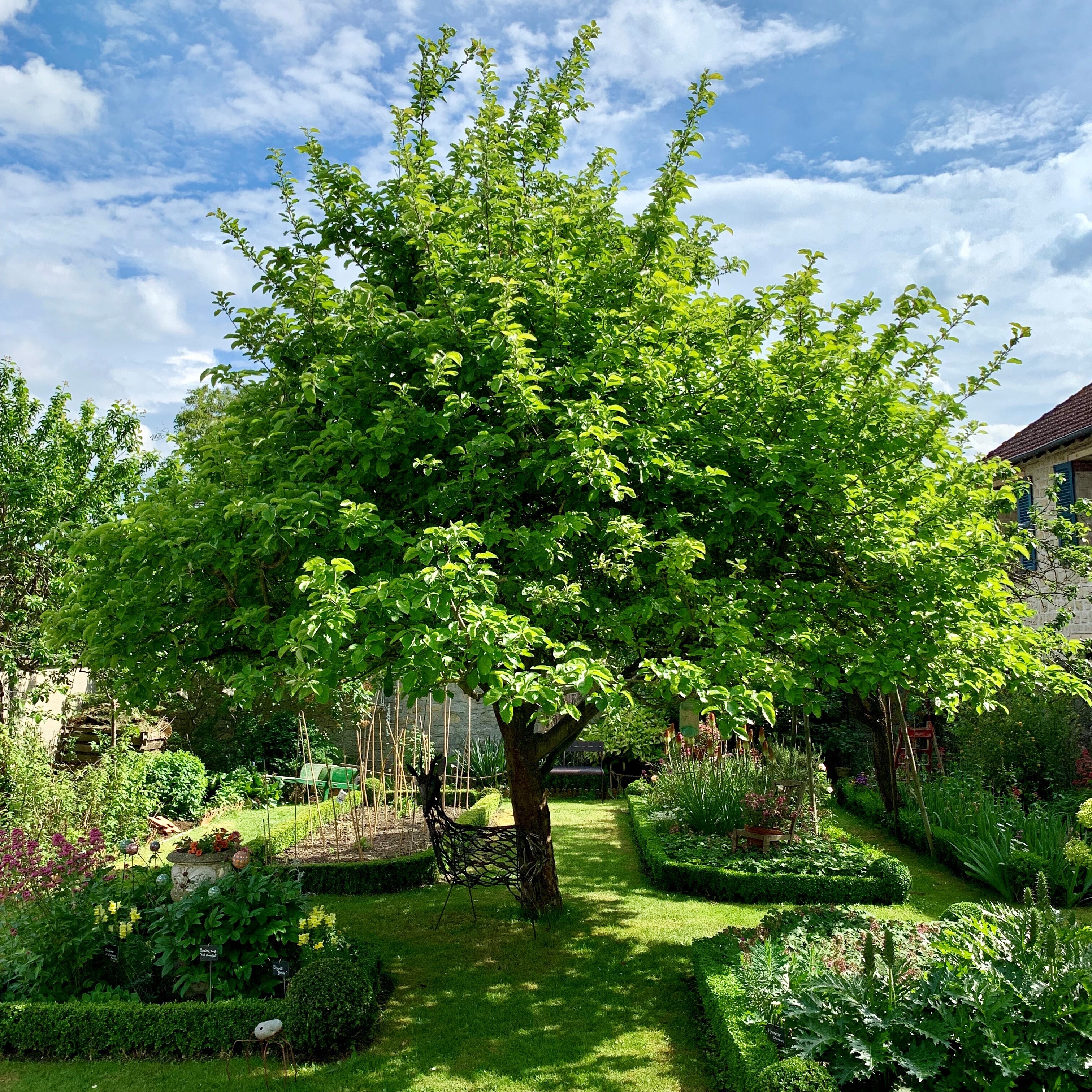 Expositions au jardin de la citadelle