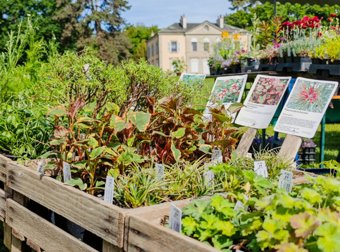 Petit marché aux plantes at Geneva Botanic Garden