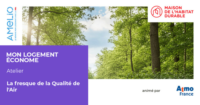 La fresque de la Qualité de l'Air