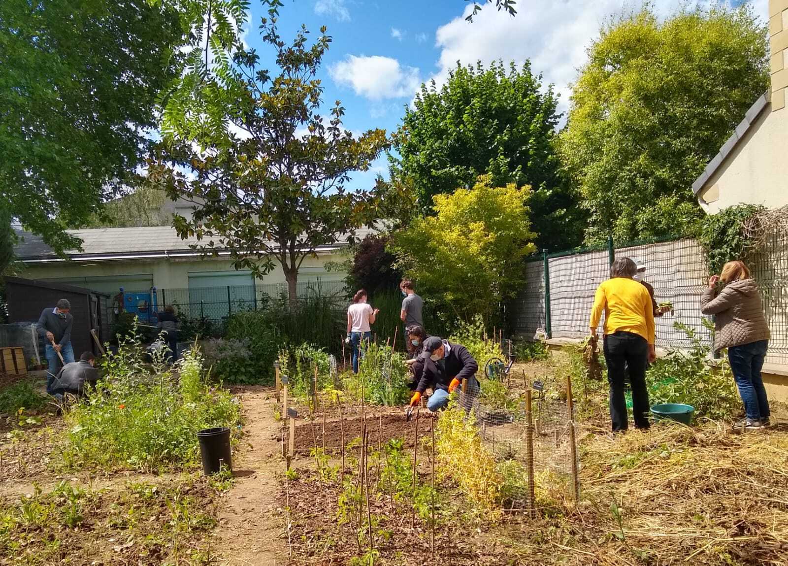 Visite du jardin Hoffmann