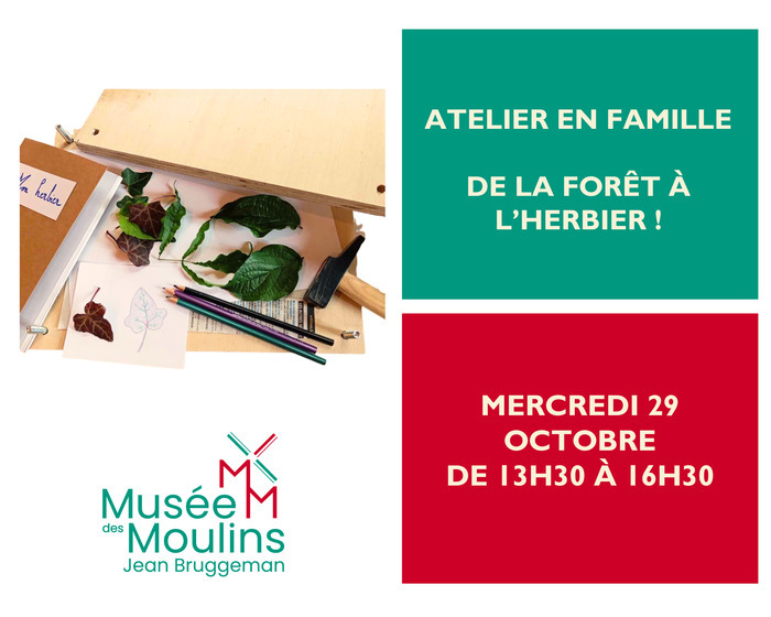 Atelier en famille : de la forêt à l'herbier !