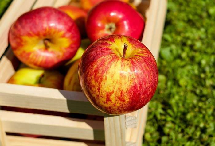 La Fête de la Pomme existe maintenant depuis plus de 20 ans. Cette fête traditionnelle met en avant, autour de la Pomme, les artisans et les artistes de nos territoires.