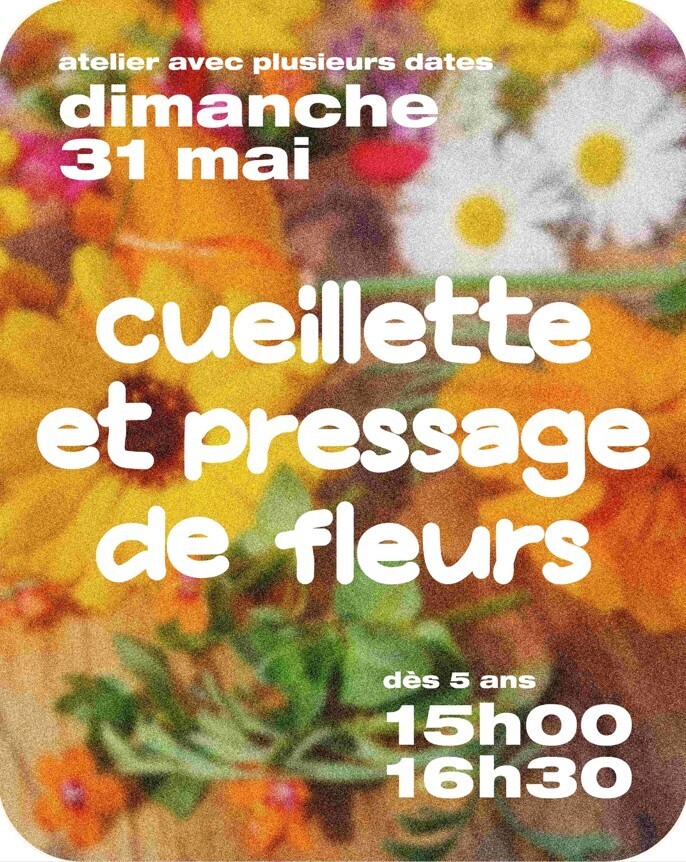 Cueillette et pressage de fleurs au jardin
