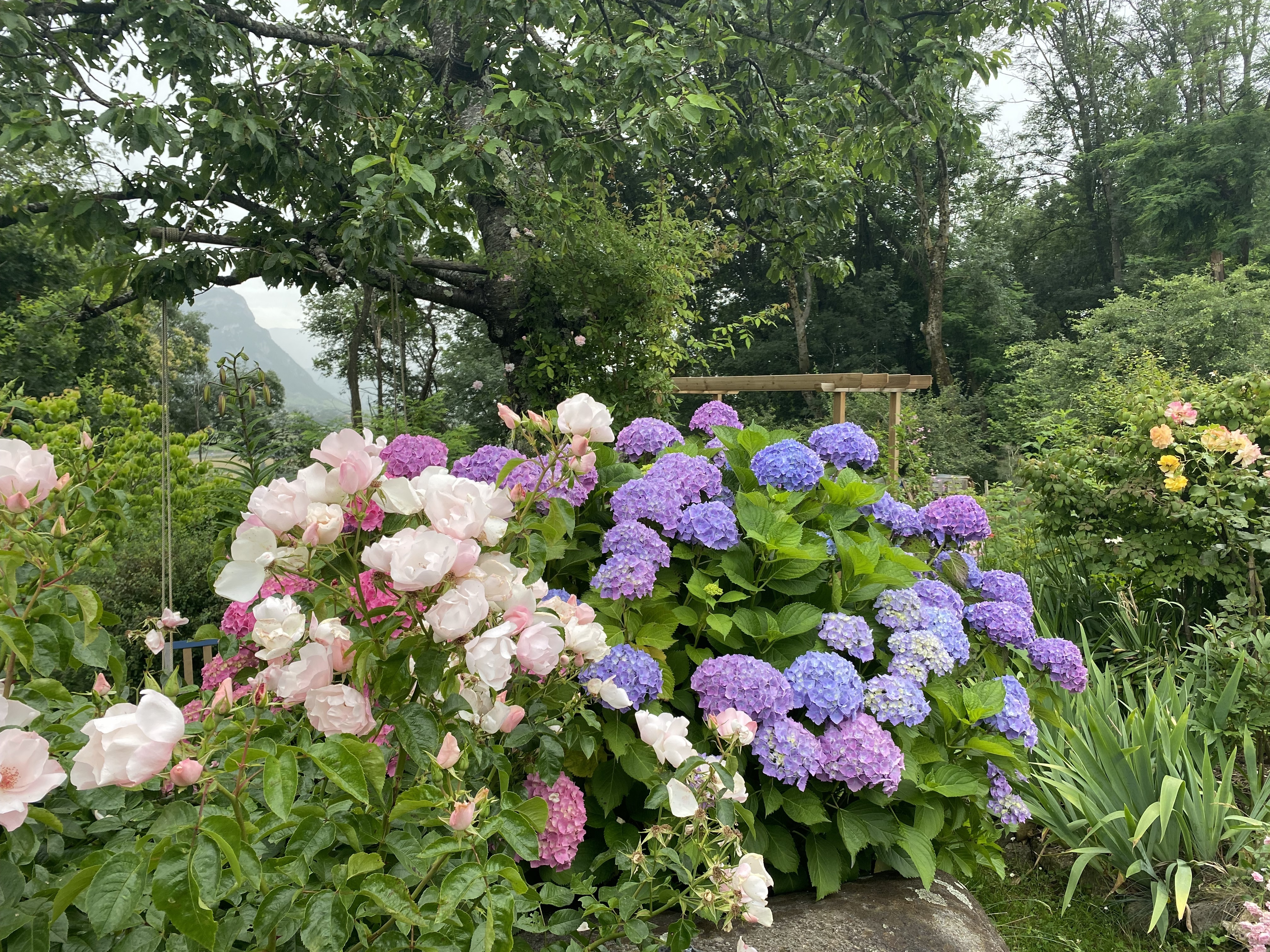 Le Jardin sur la Moraine visites au profit de l’association Jardins & Santé