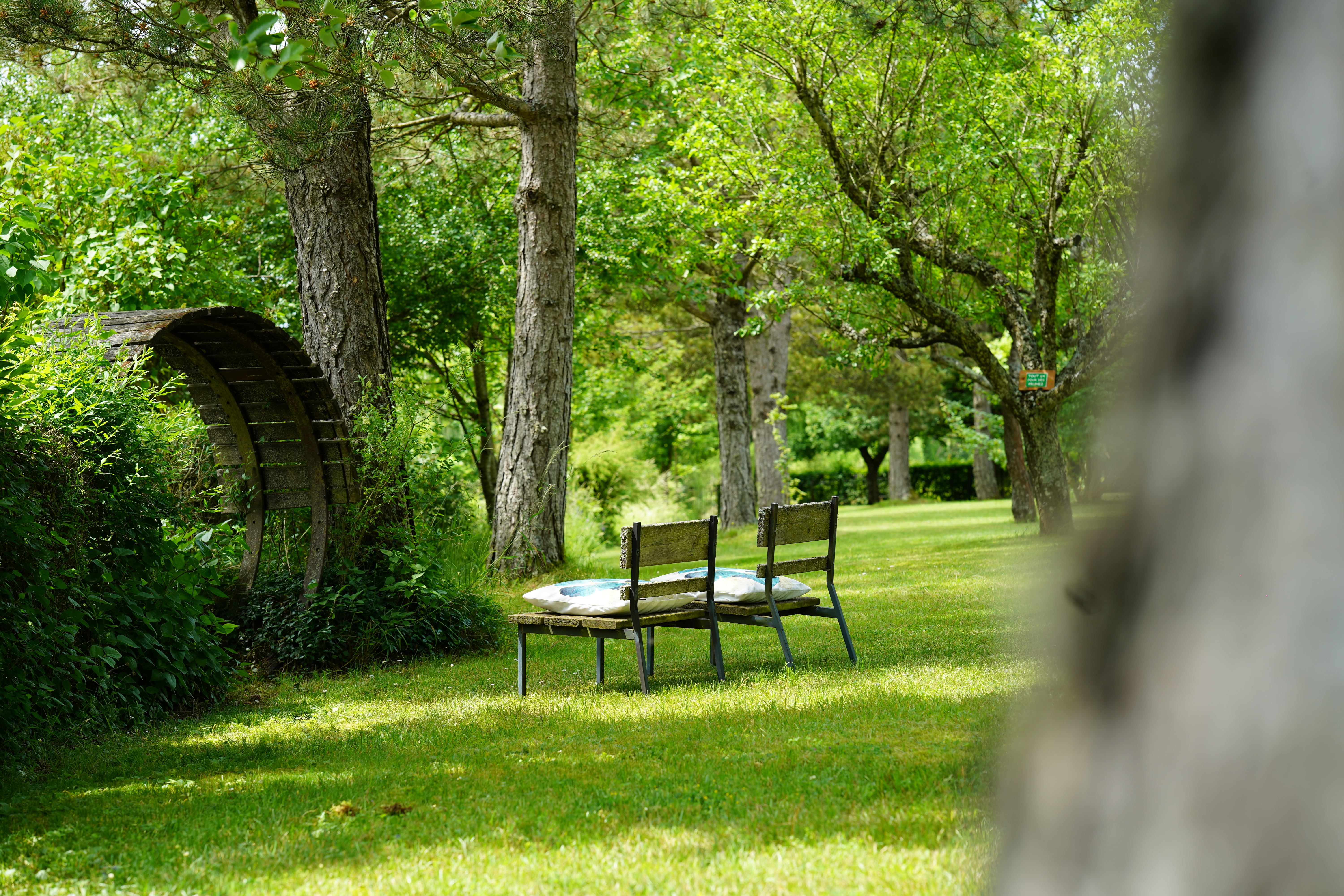 Visite du « Jardin bienveillant »