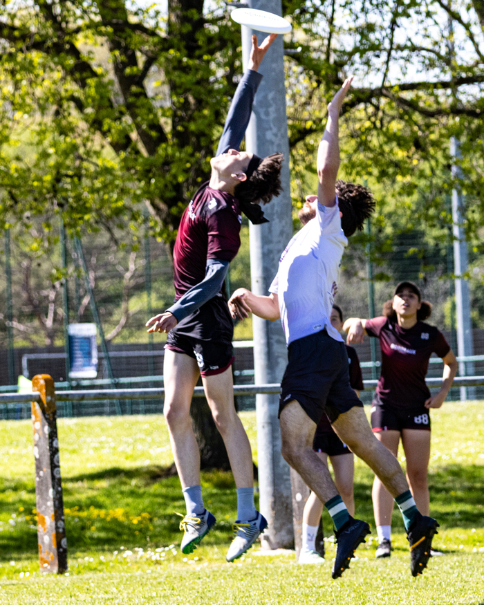 plaine des sports Colette Besson