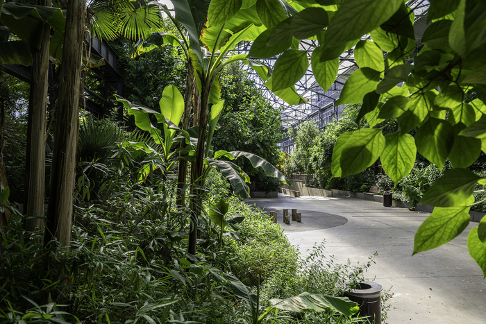 Jardin des Fonderies