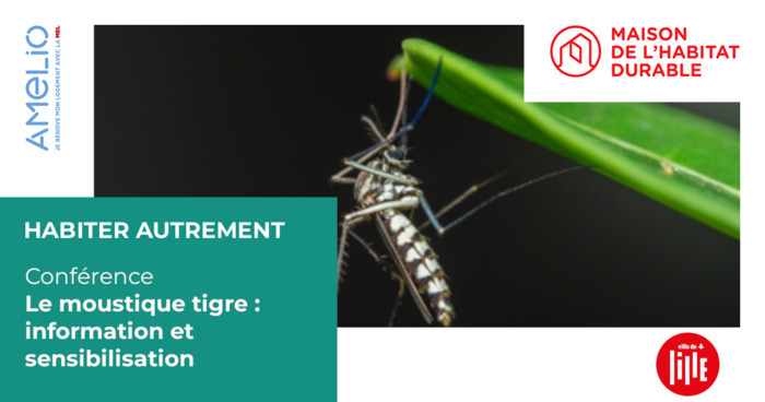 Le moustique tigre : information et sensibilisation