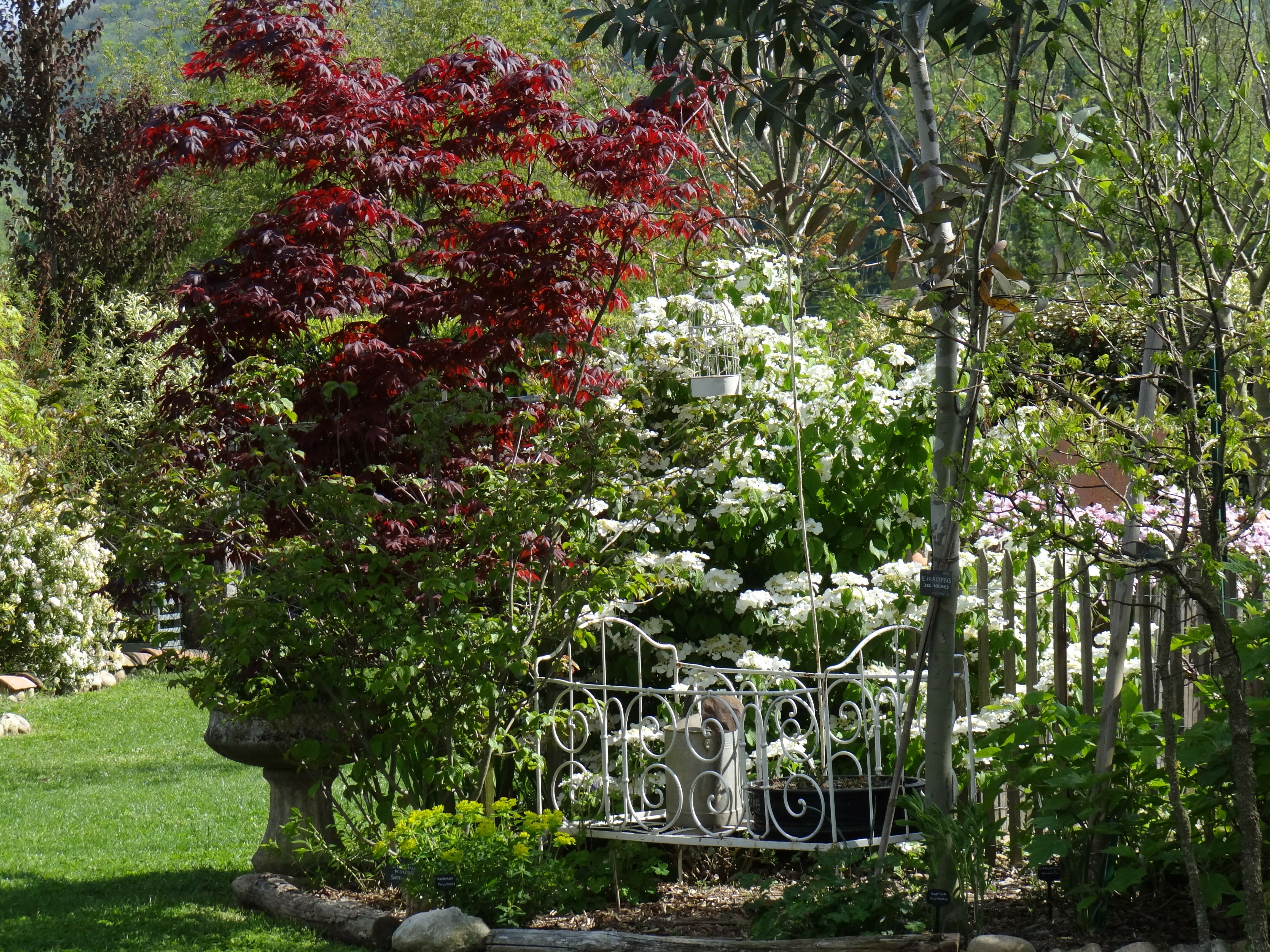 Visite guidée du Jardin du Grand Charme
