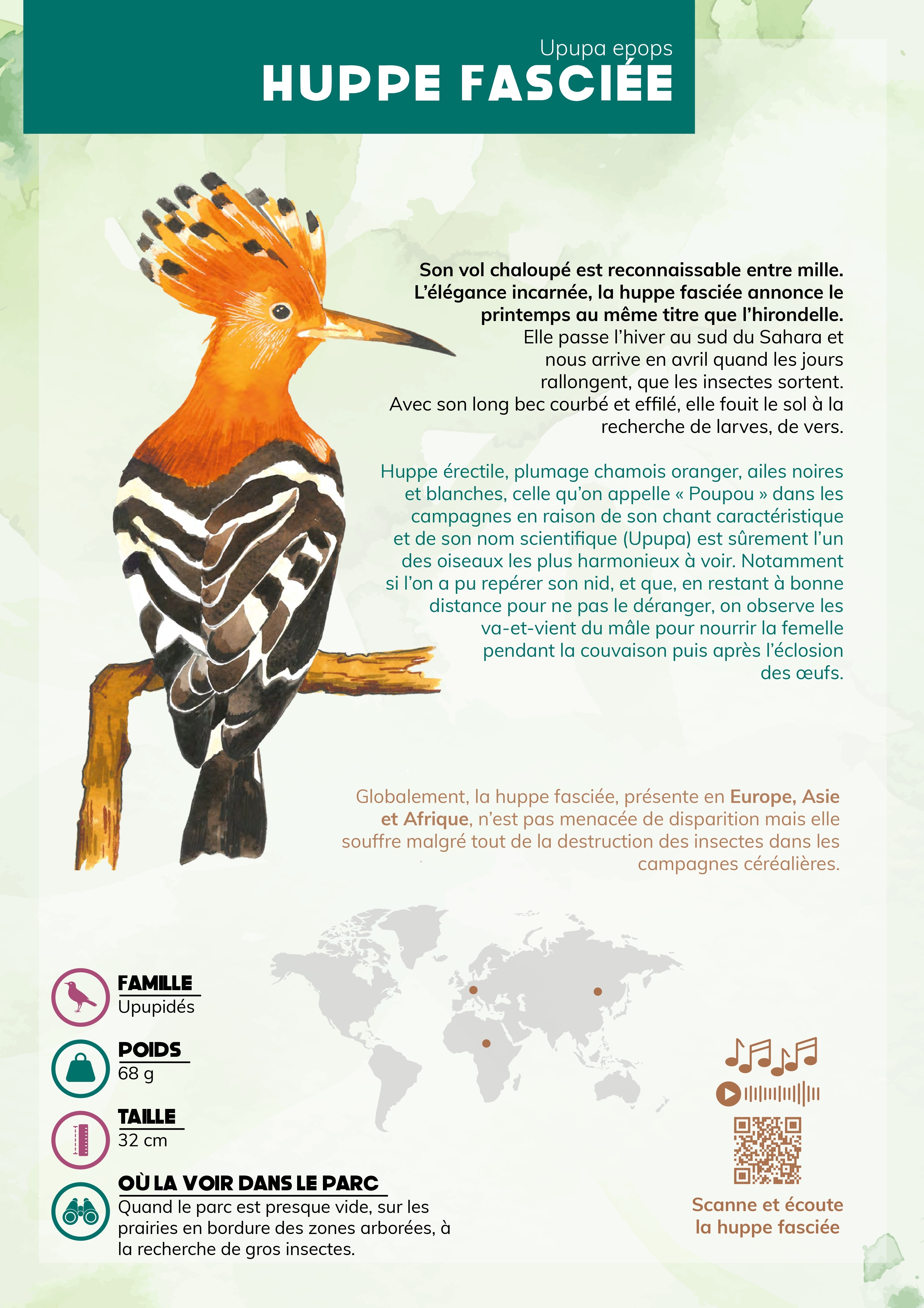 Exposition illustrée "Les oiseaux familiers du parc"