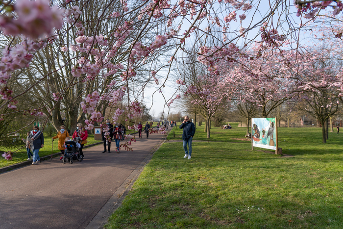 Naturalistic walk: Art book, the biodiversity of wetlands