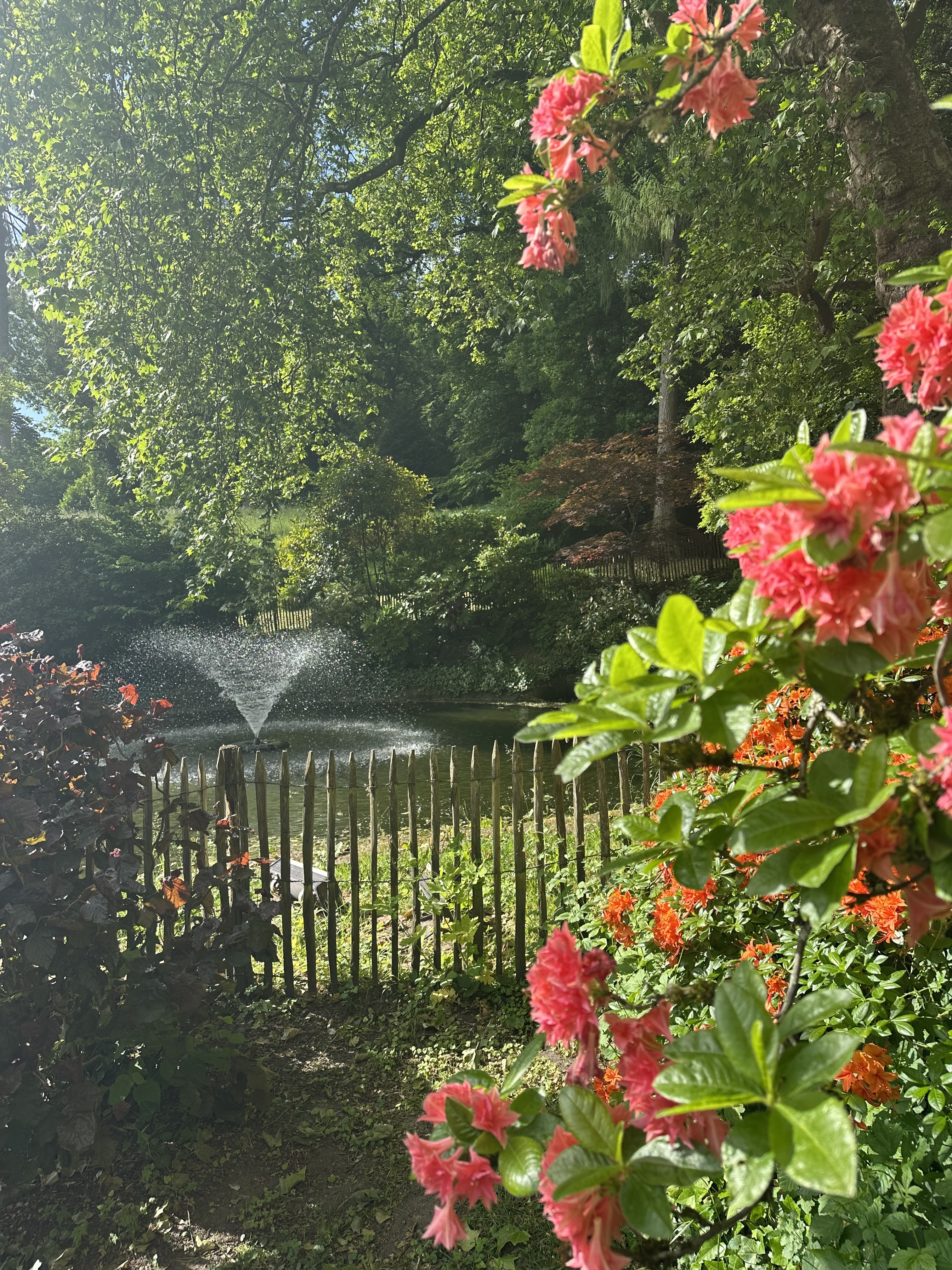Rendez-vous dans le jardin à l'anglaise du Château d'Hausen