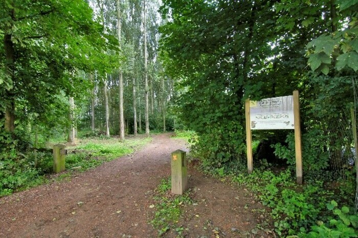 Balade nature au Bois de la Noyelle