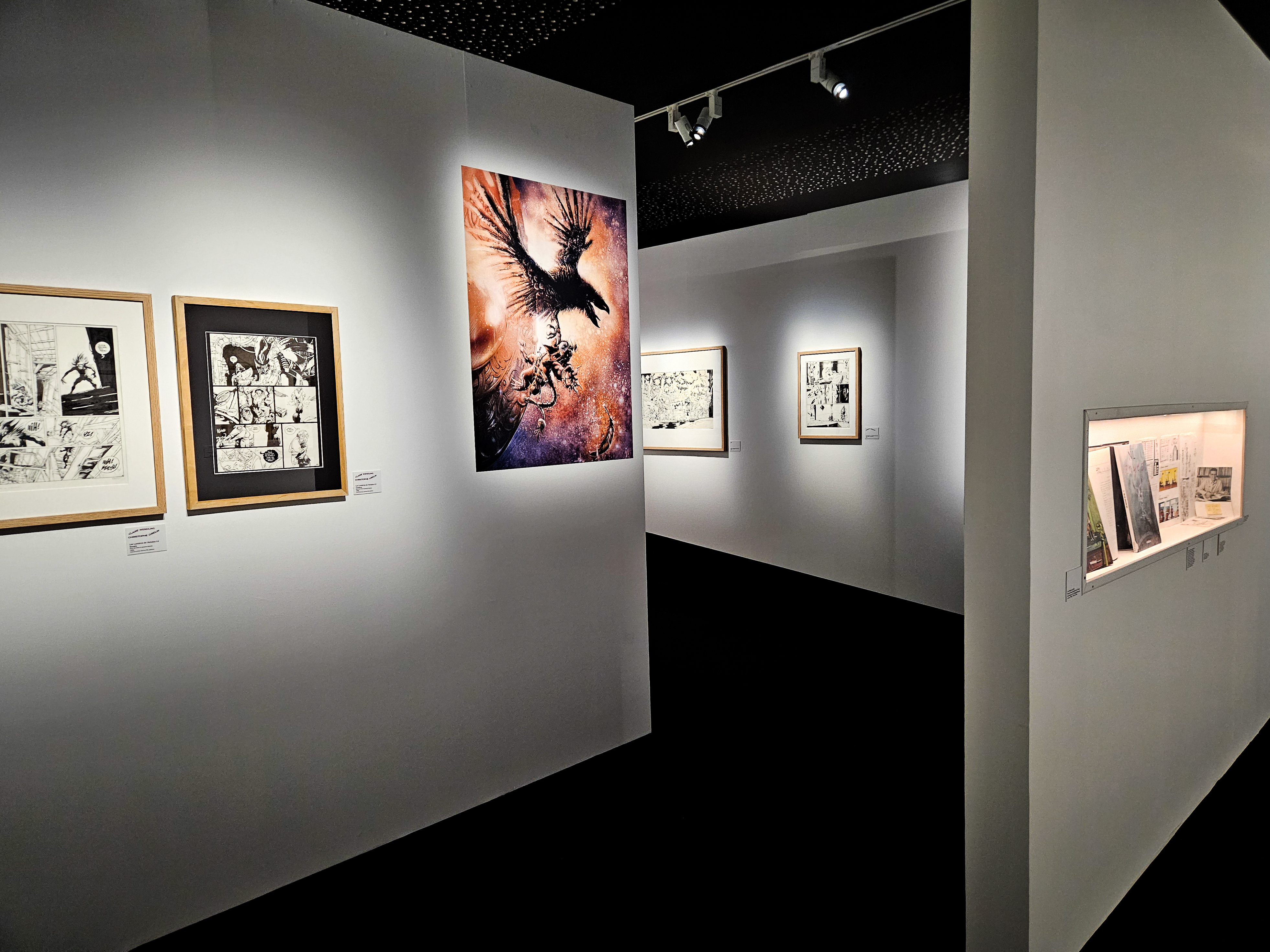 Visite guidée à la torche de l'exposition "L’aventure éditoriale - Delcourt, 40 ans au rythme du 9e art"