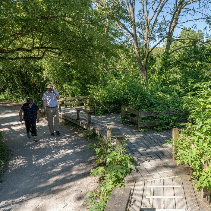 Balade naturaliste : fêtons la nature