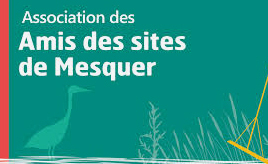 Mesquer fait son cinéma