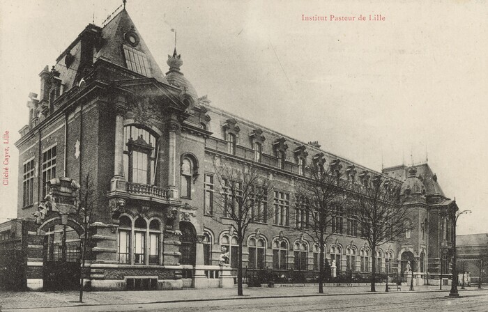 L'Institut Pasteur de Lille : un ancrage local de la science pastorienne au service de la santé publique (1894-1914)