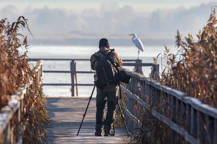 concours de photo