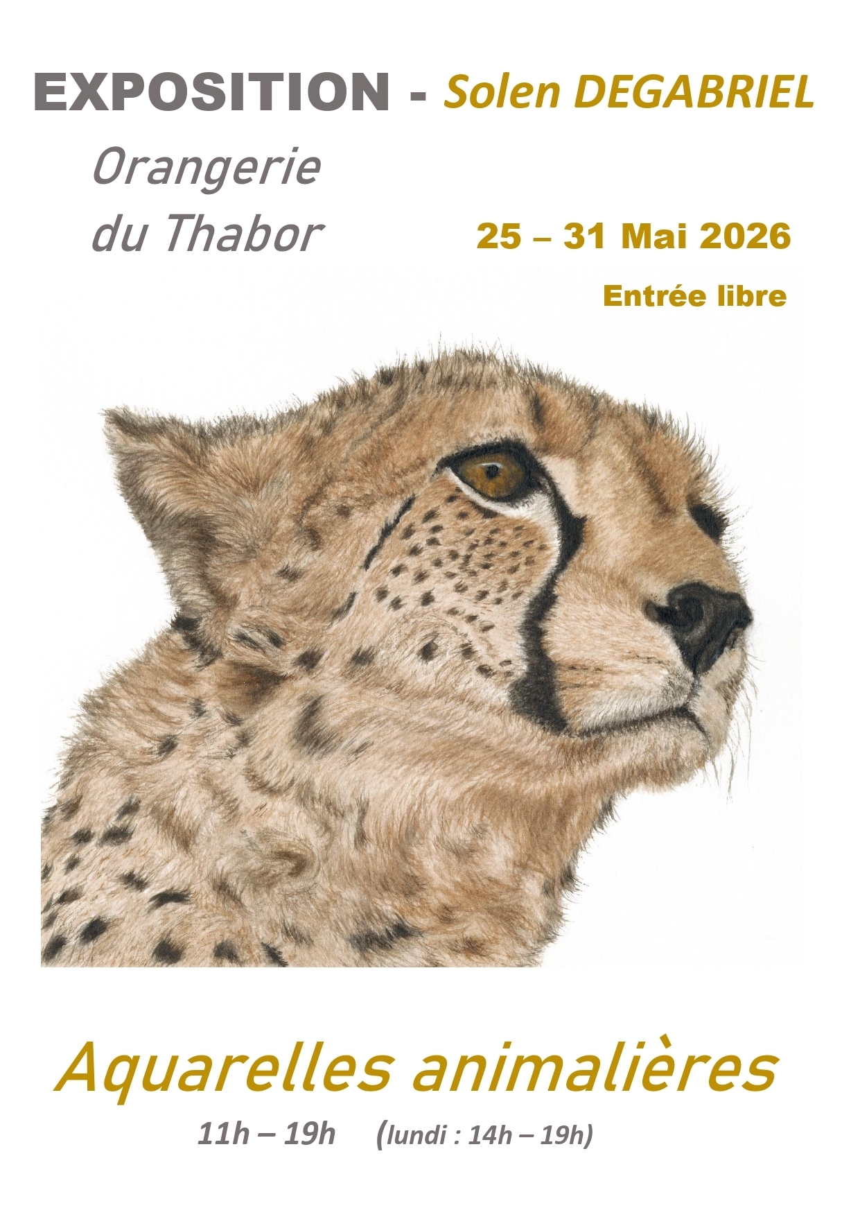 Exposition "Aquarelles animalières"