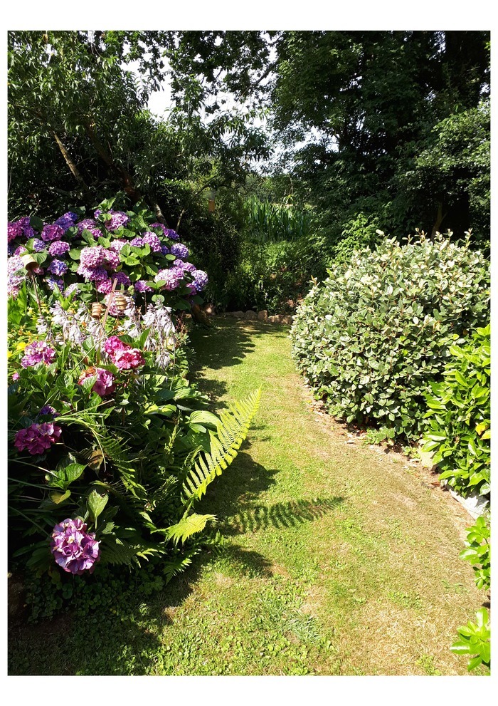 Jardin botanique
