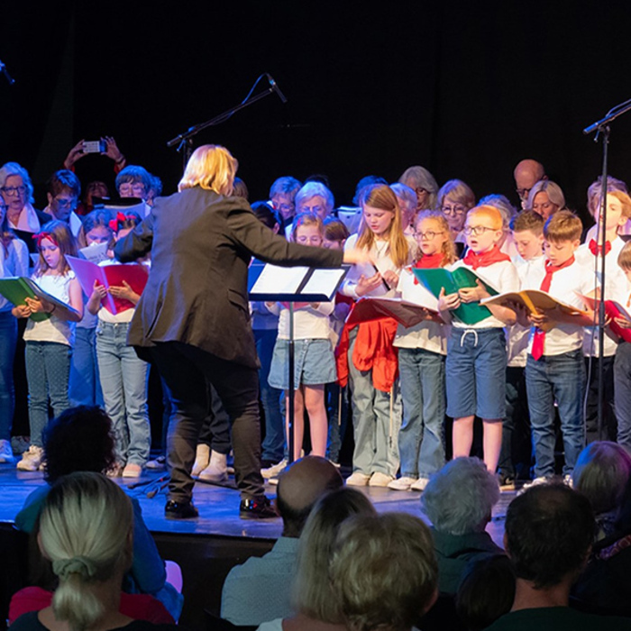 Audition de Printemps - Chorale de l'EMM