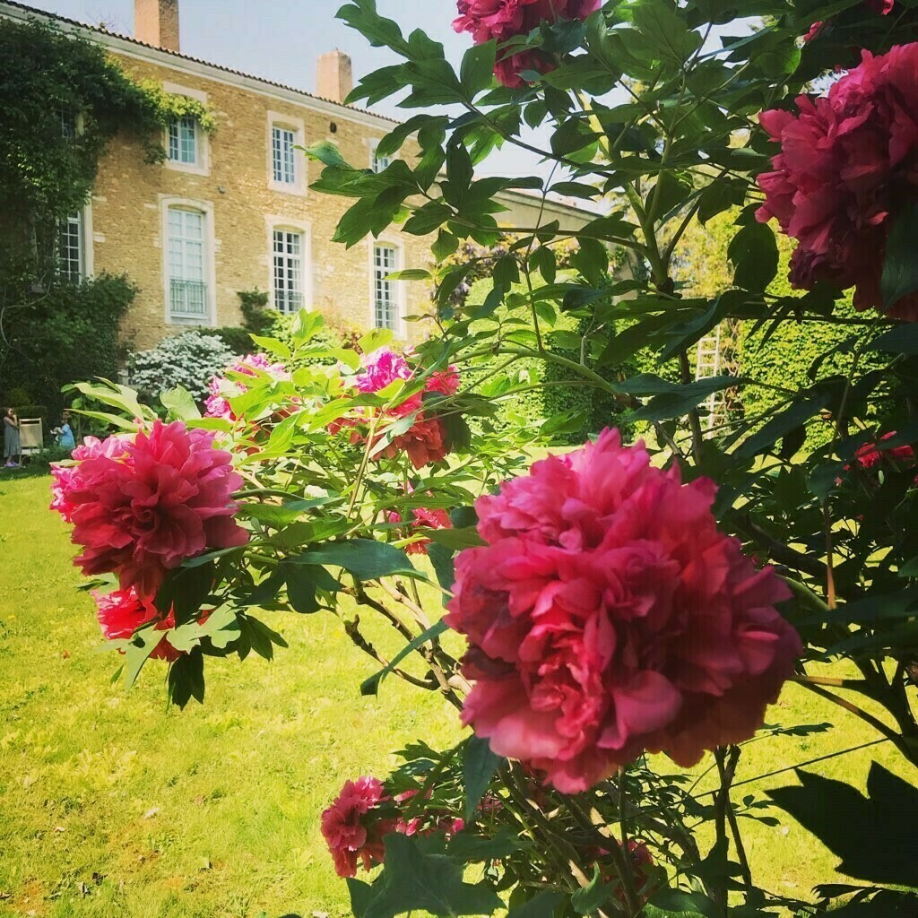 Venez découvrir ou re-découvrir le Jardin de la Franche Moîtresse