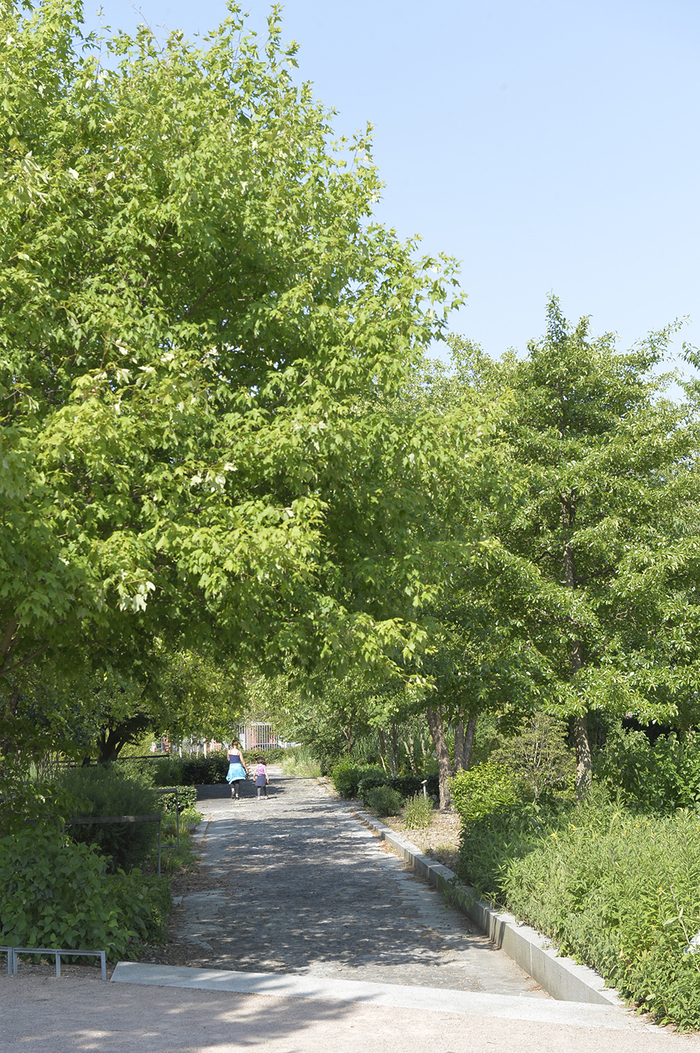 Ma cabane se camoufle