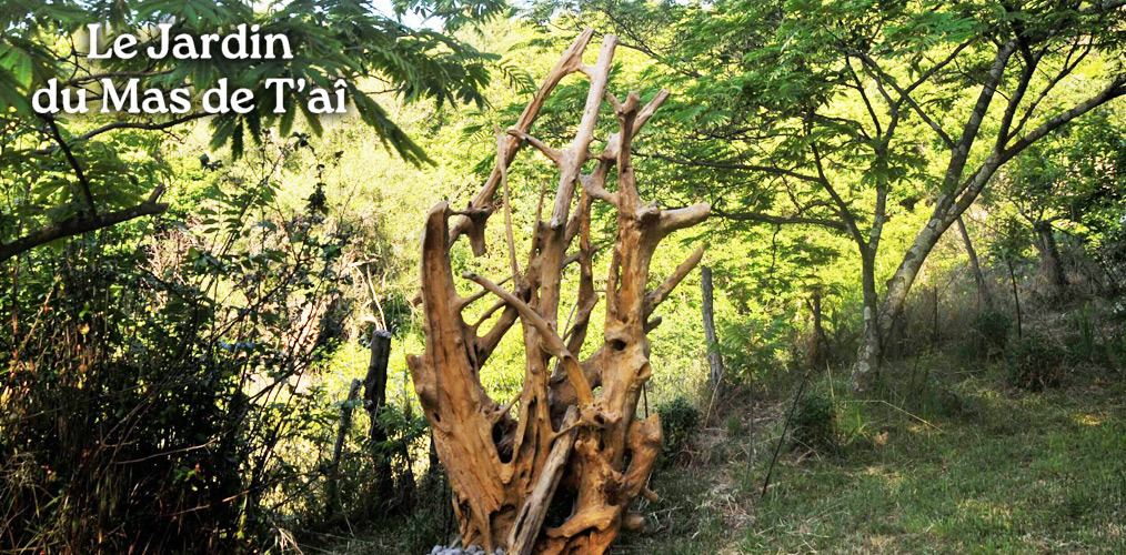 Visite Le Jardin du Mas de T'aî