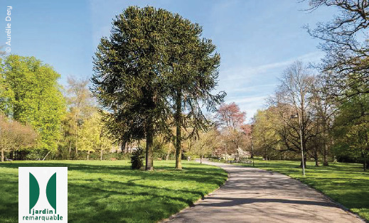 Domaine de Mariemont — Rendez-vous aux jardins (pollinisateurs)