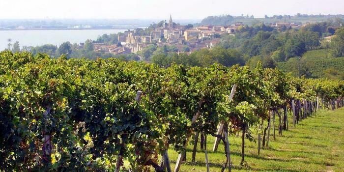 Tous Ô Chais avec l’appellation Côtes de Bourg