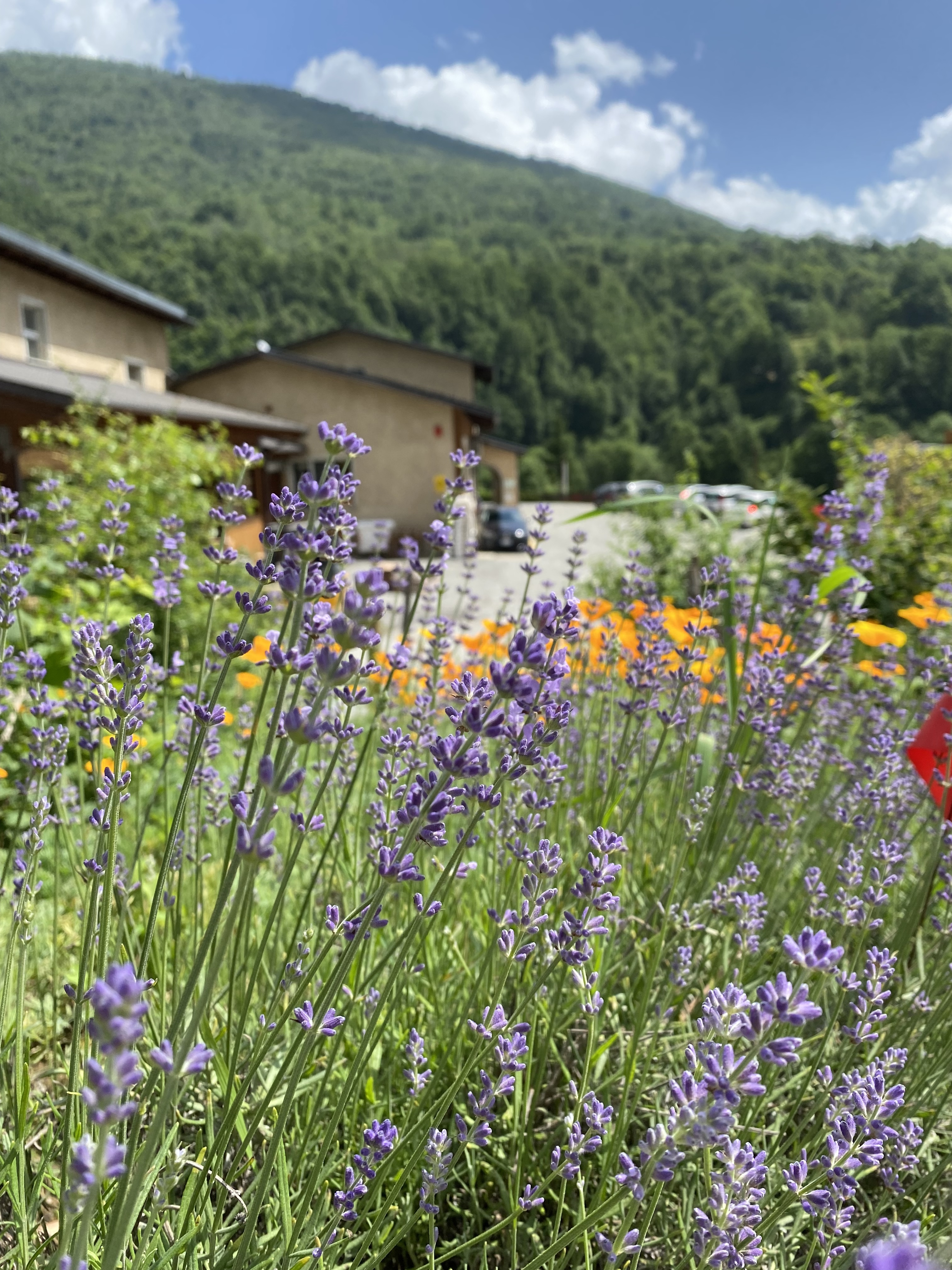 VISITE AU JARDIN BOTANIQUE VALVERBE 6 et 7 juin 10h30 et 15h00