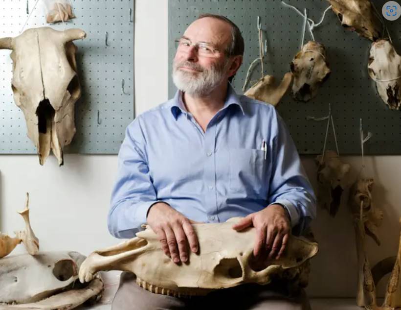Projection de conférence : Aux origines préhistoriques de la domestication animale