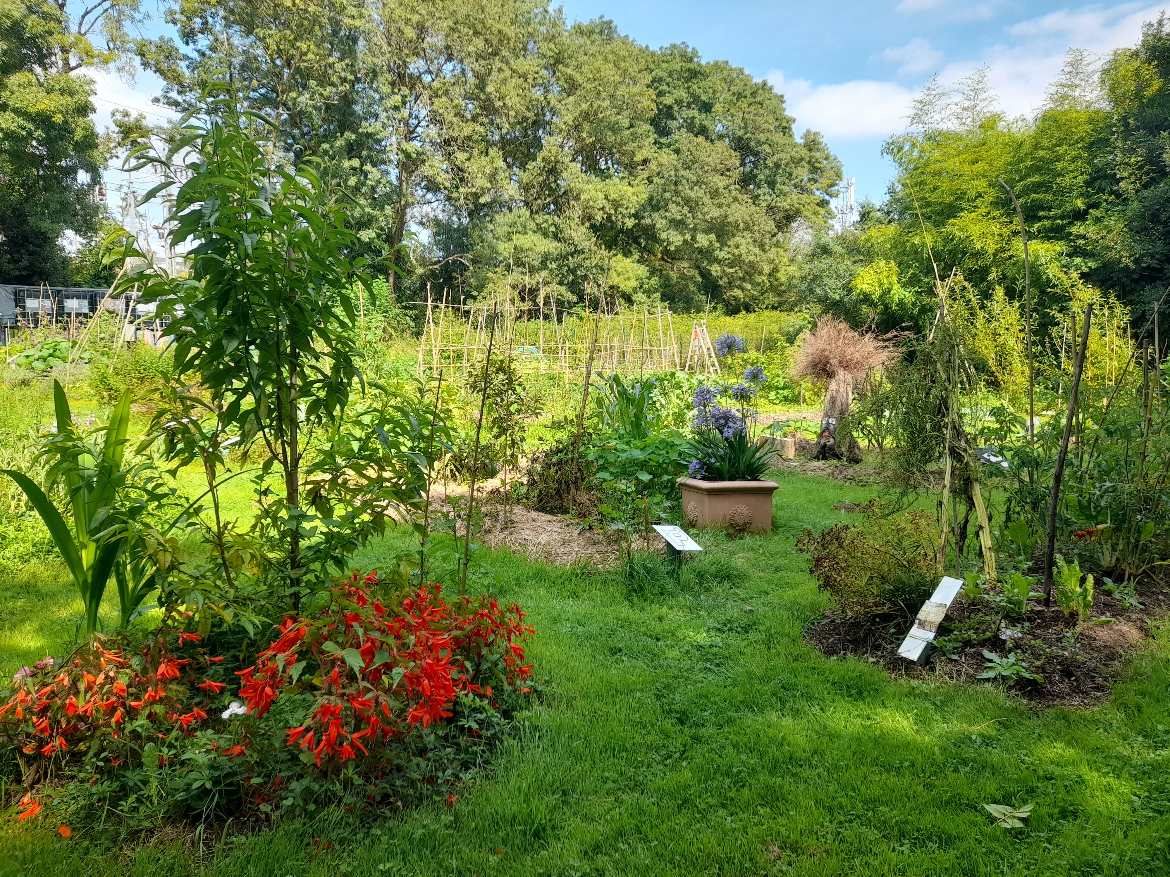 A la découverte des petites bêtes du jardin