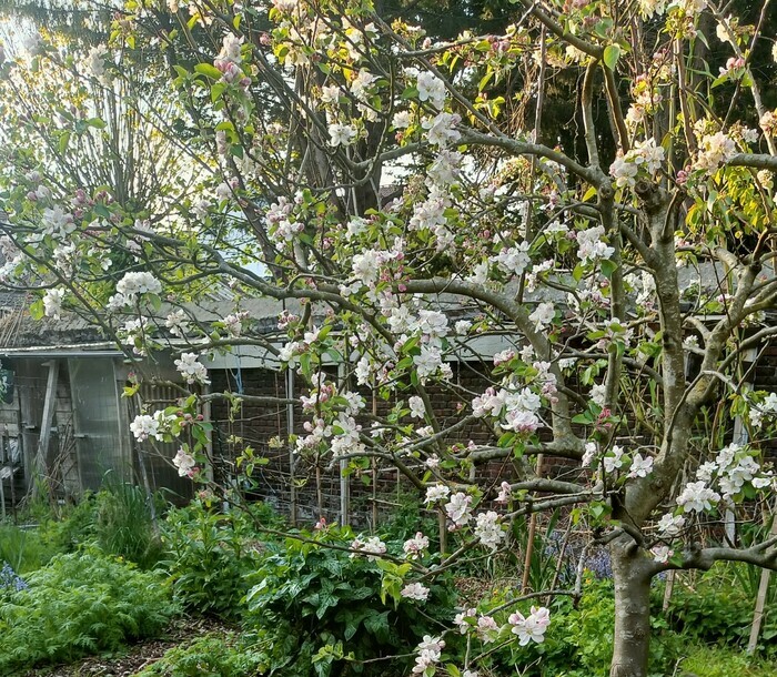 Visite du jardin du Pré Muché