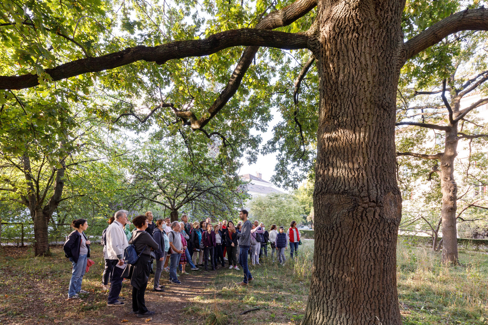 Visite guidée du parc de la Cité internationale