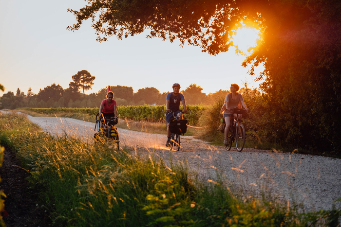 Excursions dans le vignoble bordelais