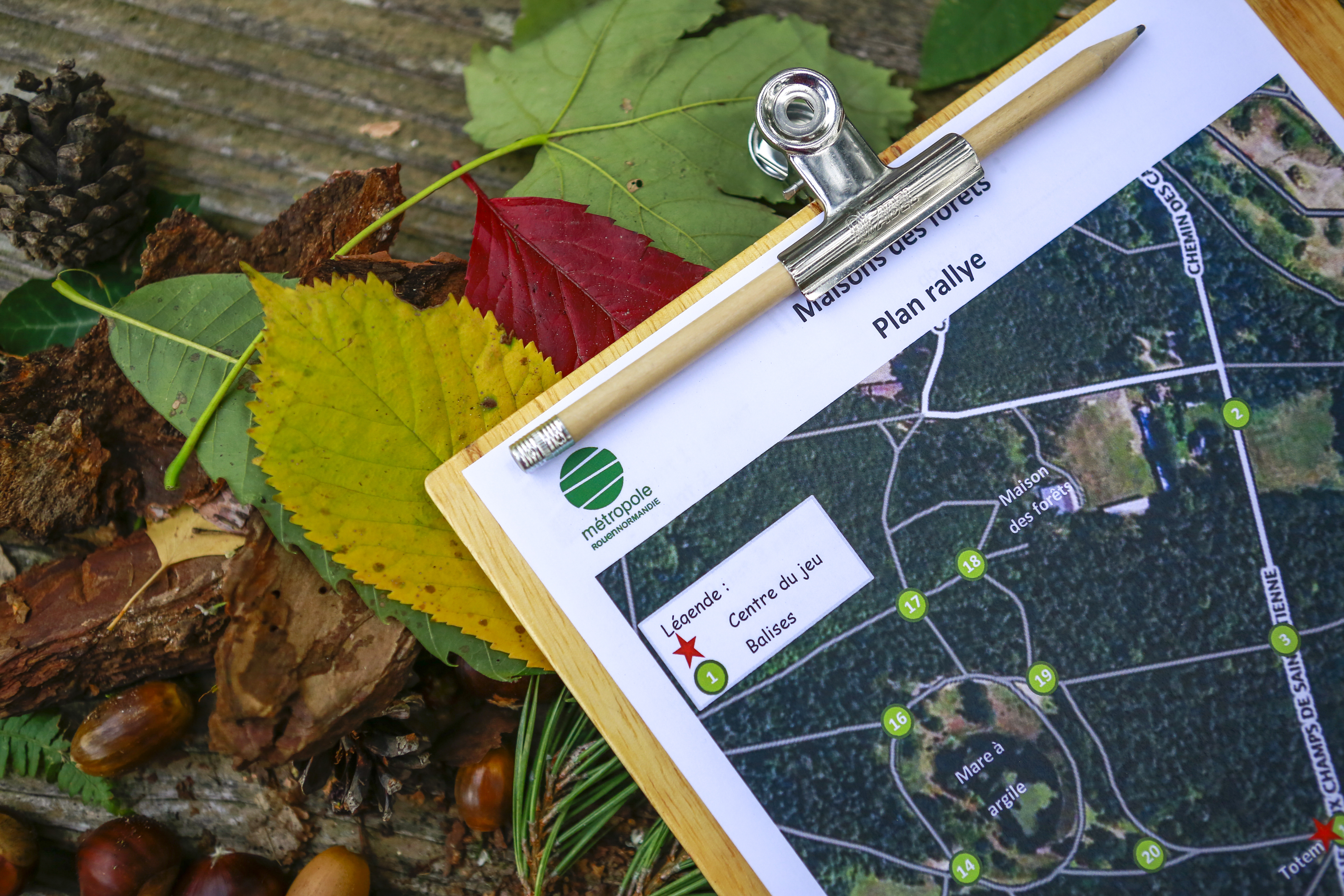 Rallye sensoriel