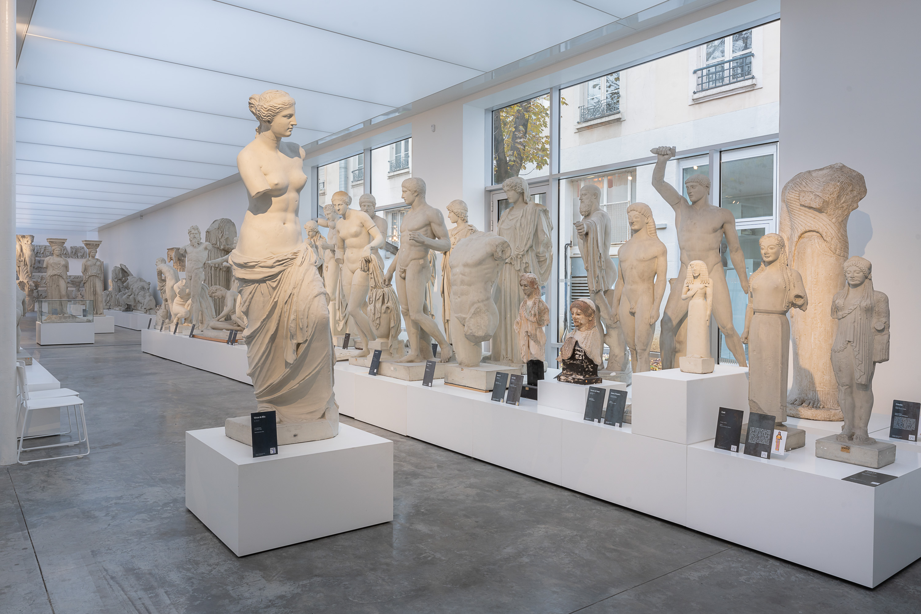 Visite commentée : des fouilles jusqu'aux musées