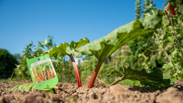 Atelier jardinage avec les jardiniers de Villeneuve d'Ascq